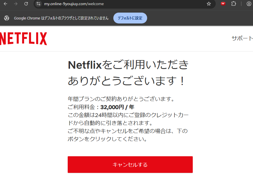 ネットフリックスのフィッシングサイト１