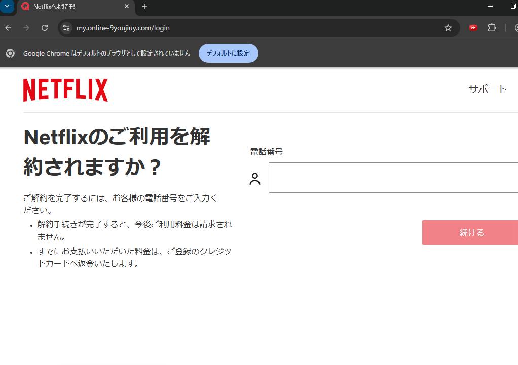 ネットフリックスのフィッシングサイト２