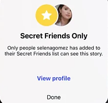 「Secret Friends Only」と記載されたストーリーの黄色いリング